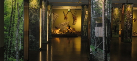 Museumwelt